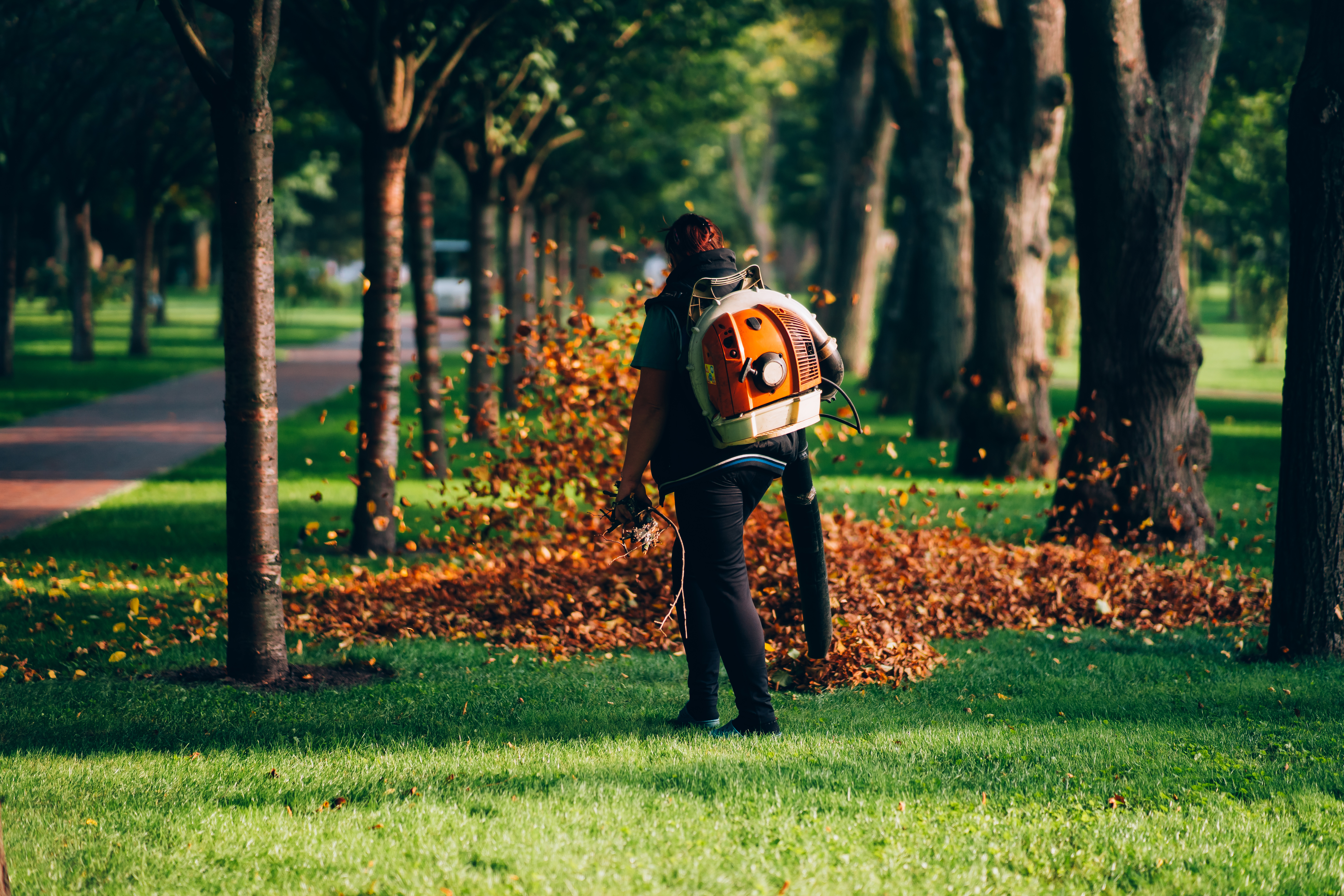 Person using a gas leaf blower