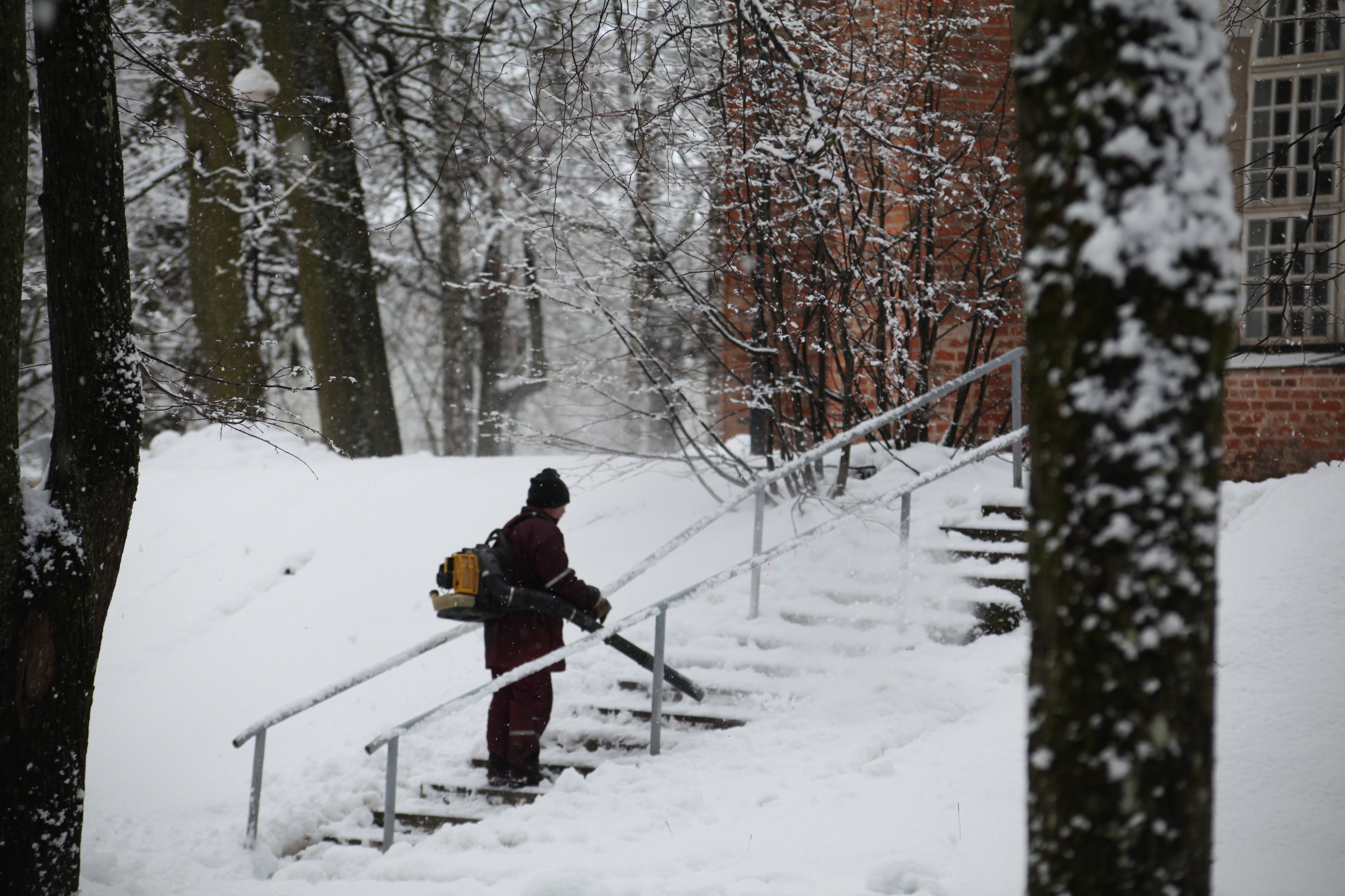Leaf blower stored for winter in garage